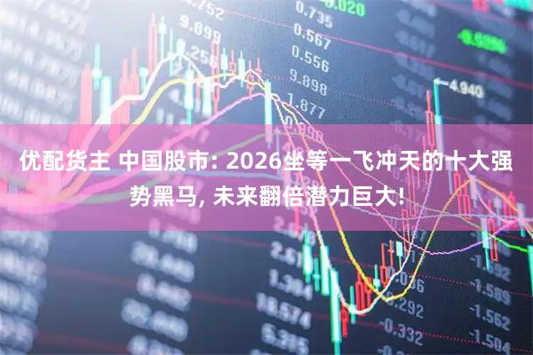 优配货主 中国股市: 2026坐等一飞冲天的十大强势黑马, 未来翻倍潜力巨大!
