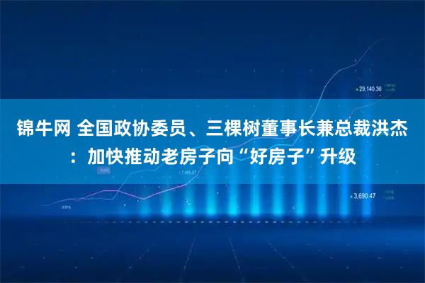 锦牛网 全国政协委员、三棵树董事长兼总裁洪杰：加快推动老房子向“好房子”升级
